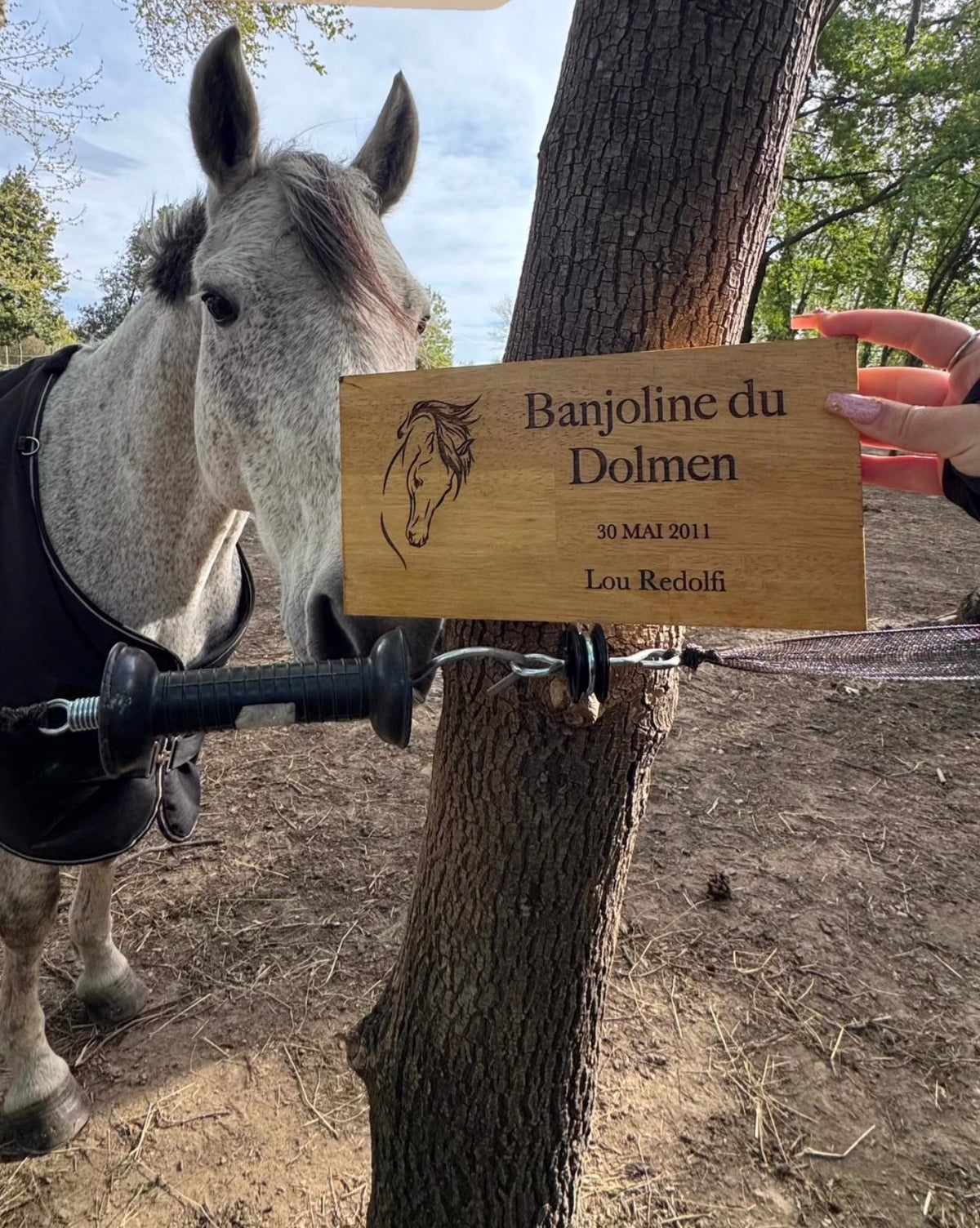 Plaque de box cheval en bois