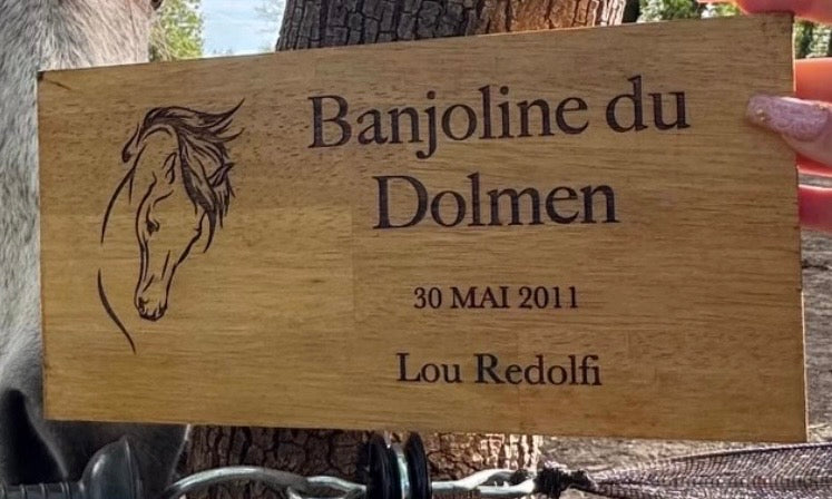 Plaque de box cheval en bois
