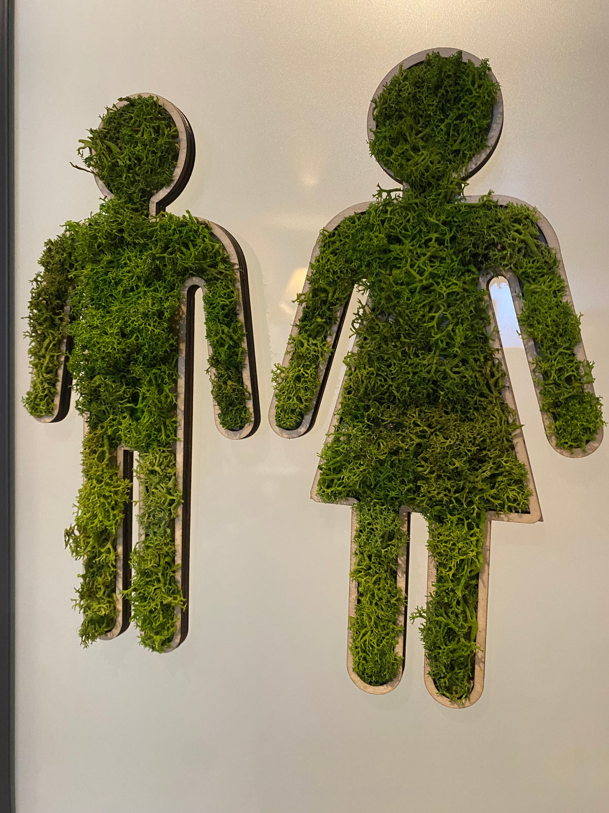 Logo Toilette en bois et mousse