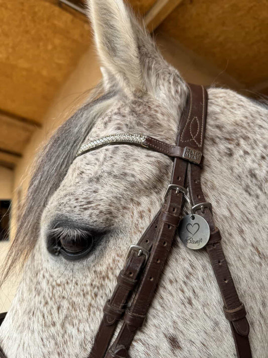 Médaille ronde pour animaux